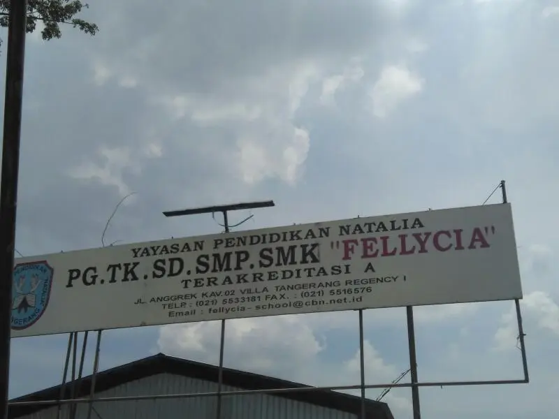 Fellycia